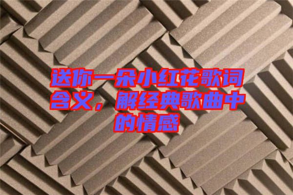 送你一朵小紅花歌詞含義，解經典歌曲中的情感