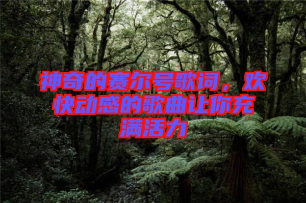 神奇的賽爾號歌詞，歡快動感的歌曲讓你充滿活力