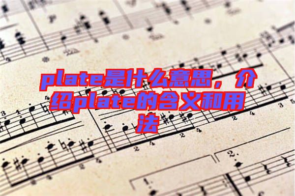 plate是什么意思，介紹plate的含義和用法