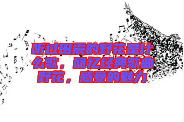 聽過田震的野花是什么歌，回憶經典歌曲野花，感受的魅力