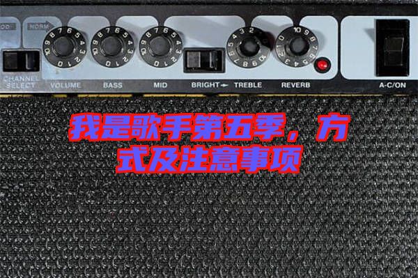 我是歌手第五季，方式及注意事項