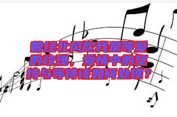 曾經(jīng)北風(fēng)吹我是等愛的玫瑰，愛情中的堅持與等待該如何處理？