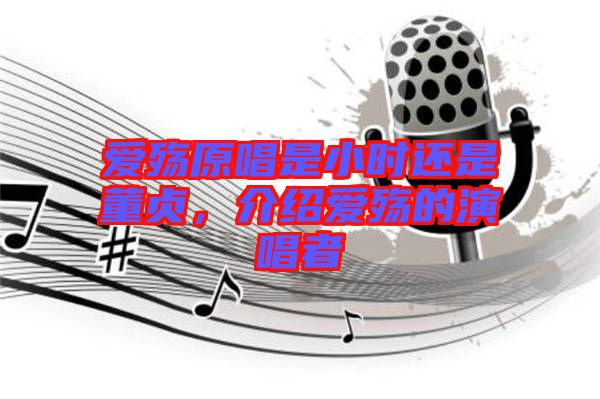 愛殤原唱是小時還是董貞，介紹愛殤的演唱者