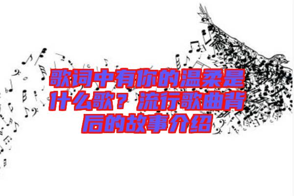歌詞中有你的溫柔是什么歌？流行歌曲背后的故事介紹