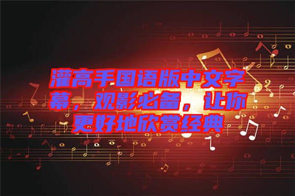 灌高手國語版中文字幕，觀影必備，讓你更好地欣賞經典