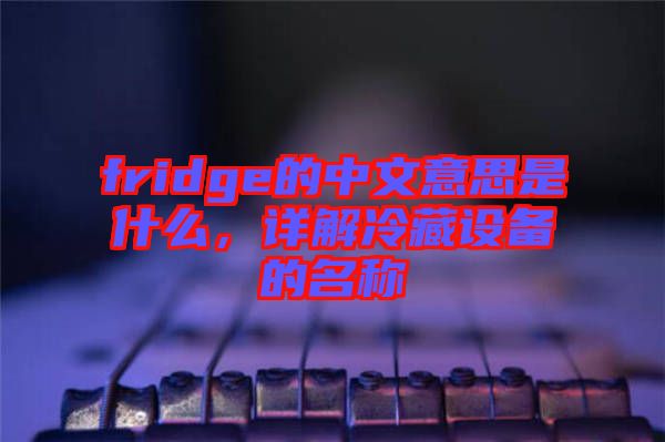 fridge的中文意思是什么，詳解冷藏設備的名稱