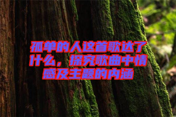 孤單的人這首歌達(dá)了什么，探究歌曲中情感及主題的內(nèi)涵