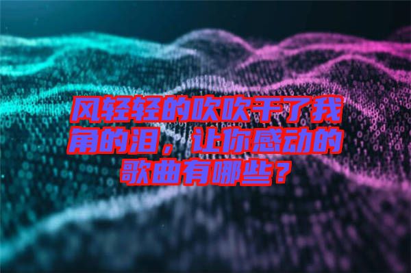 風(fēng)輕輕的吹吹干了我角的淚，讓你感動(dòng)的歌曲有哪些？