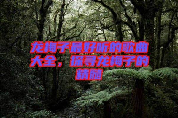 龍梅子最好聽的歌曲大全，探尋龍梅子的精髓
