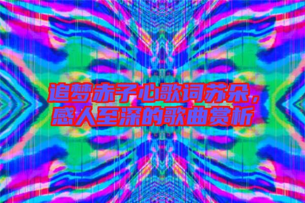 追夢赤子心歌詞蘇朵，感人至深的歌曲賞析