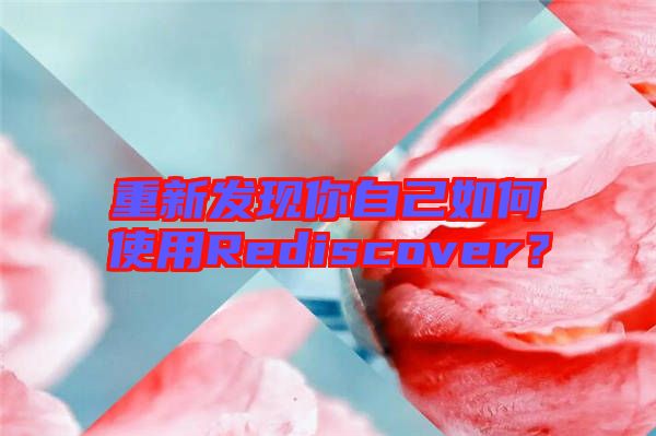 重新發現你自己如何使用Rediscover？