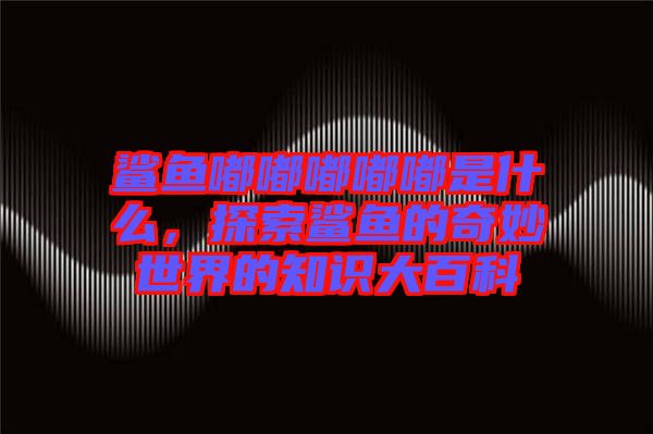 鯊魚嘟嘟嘟嘟嘟是什么，探索鯊魚的奇妙世界的知識大百科